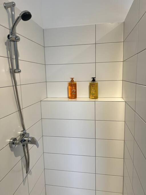 Appartement Duplex Avec Jardin Ingersheim Eksteriør bilde