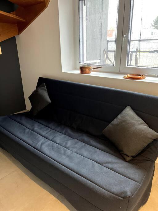 Appartement Duplex Avec Jardin Ingersheim Eksteriør bilde