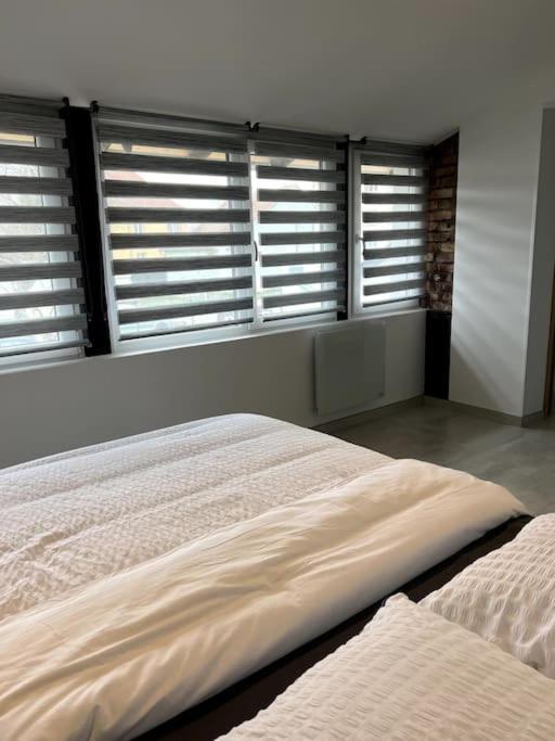 Appartement Duplex Avec Jardin Ingersheim Eksteriør bilde